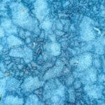The Mpemba Effect: Why Hot Water Freezes Faster Than Cold
