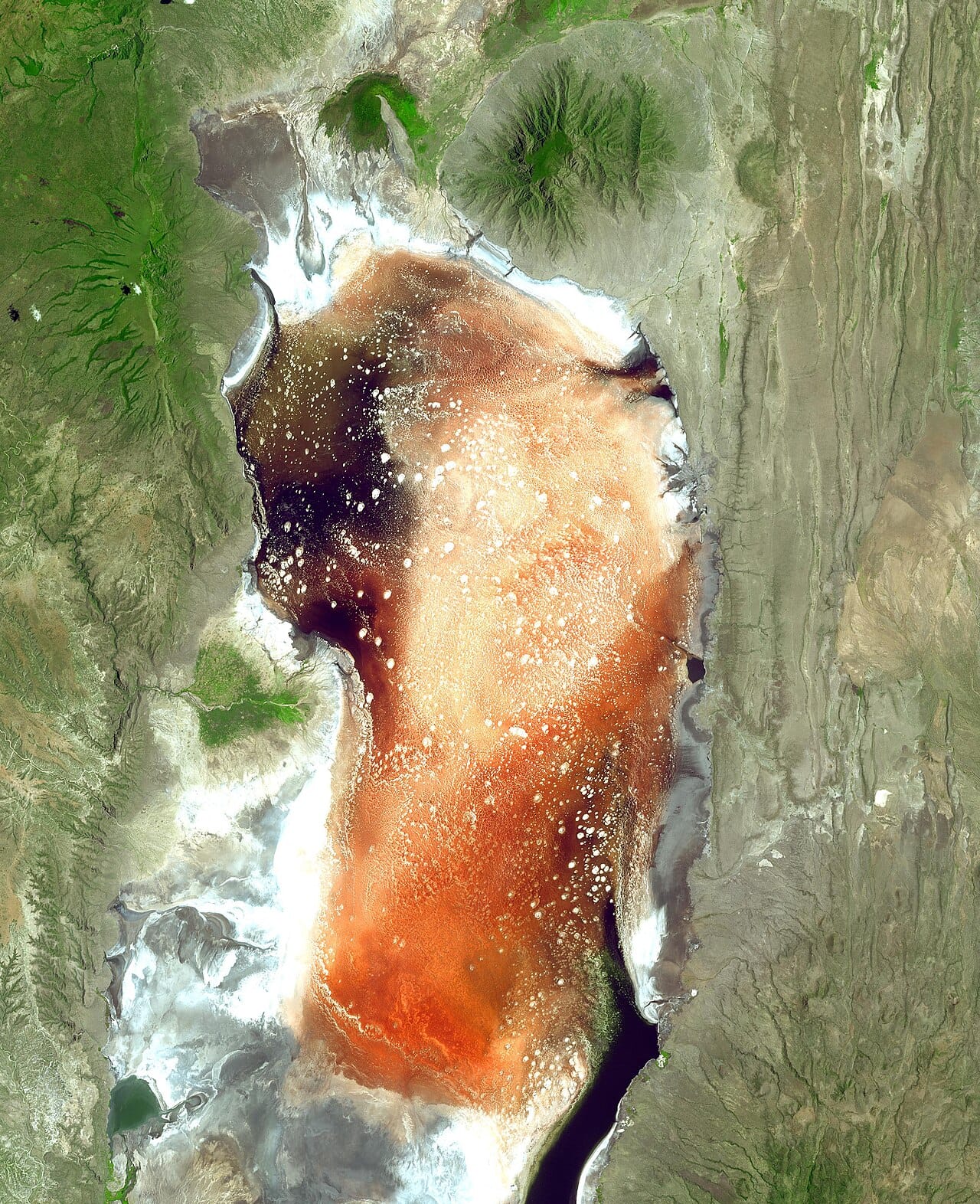 Lake Natron: The Blood-Red Lake That Mummifies Animals Into Stone
