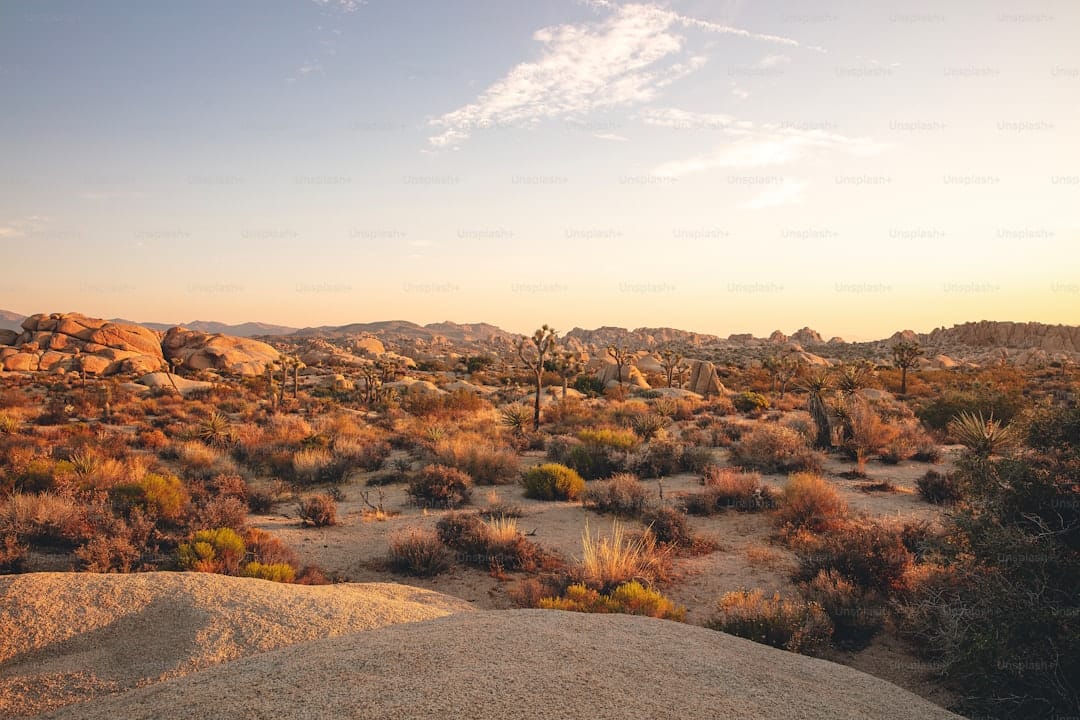 The Sailing Stones of Death Valley: The Geological Mystery That Solved Itself