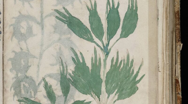 Voynich Manuscript
