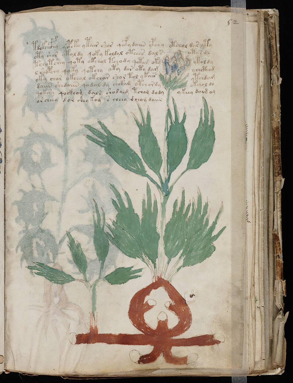 Inside the Voynich Manuscript: The Unbreakable Medieval Code